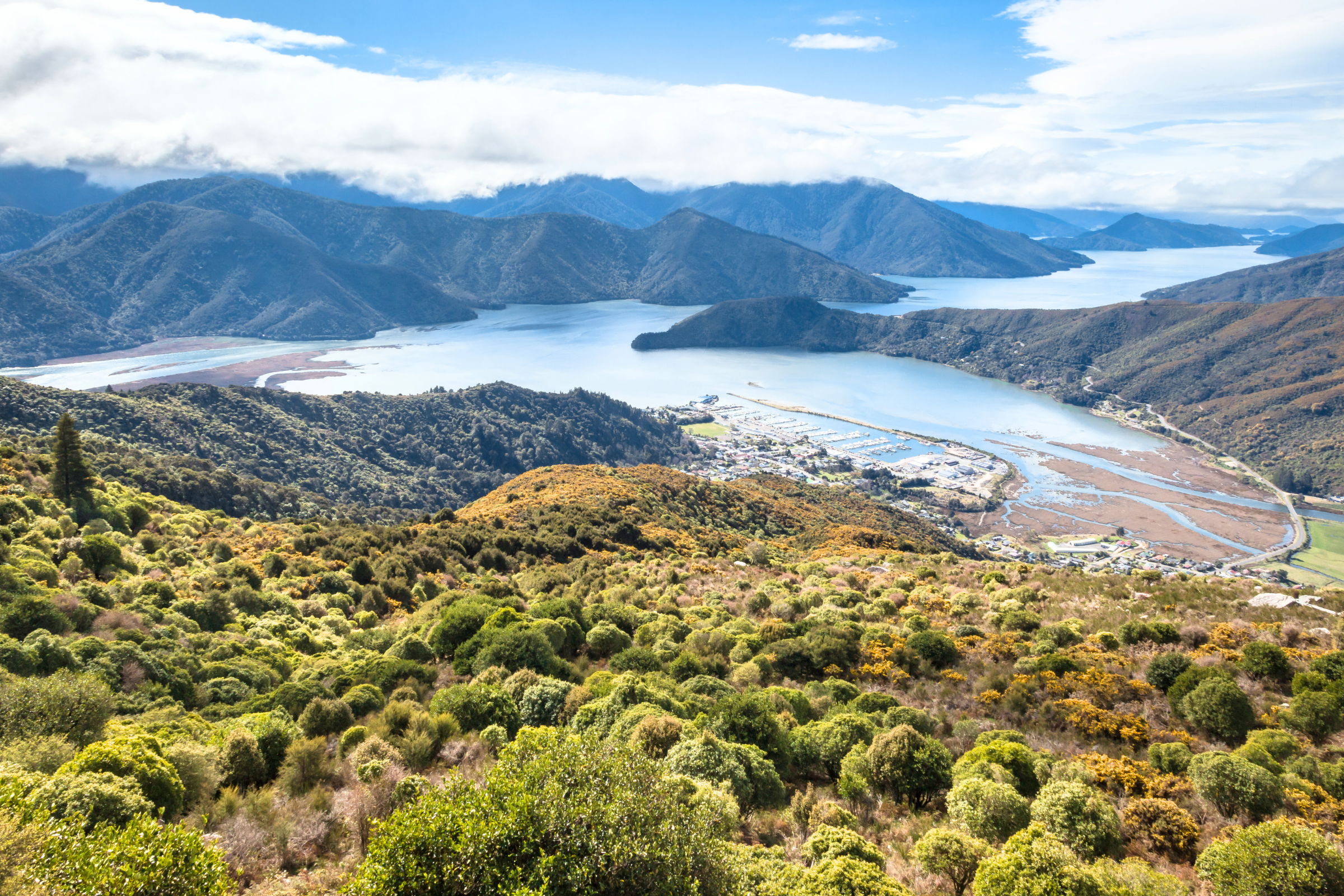 pelorus sound (3).webp